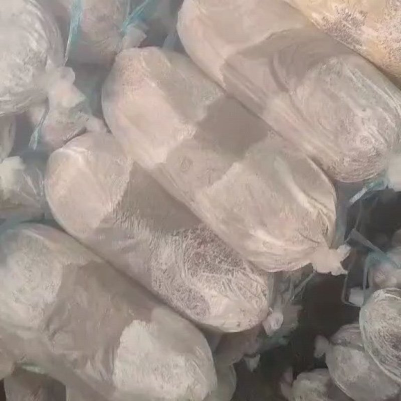 赤灵芝菌棒