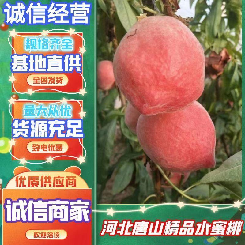 【一件代发】河北乐亭大棚桃子产地，水蜜桃货源充足产地直发