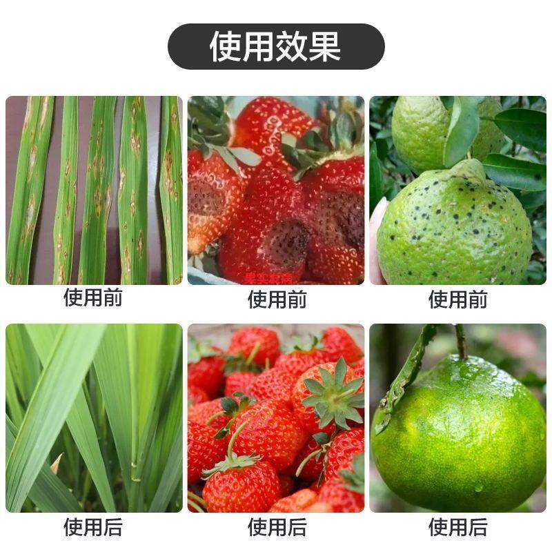 17%唑醚氟环唑赤霉病炭疽病稻瘟病纹枯病褐斑病白粉病作物