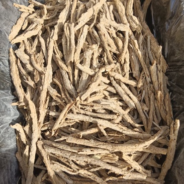 地骨皮大统货咸白皮常年批发常年有货