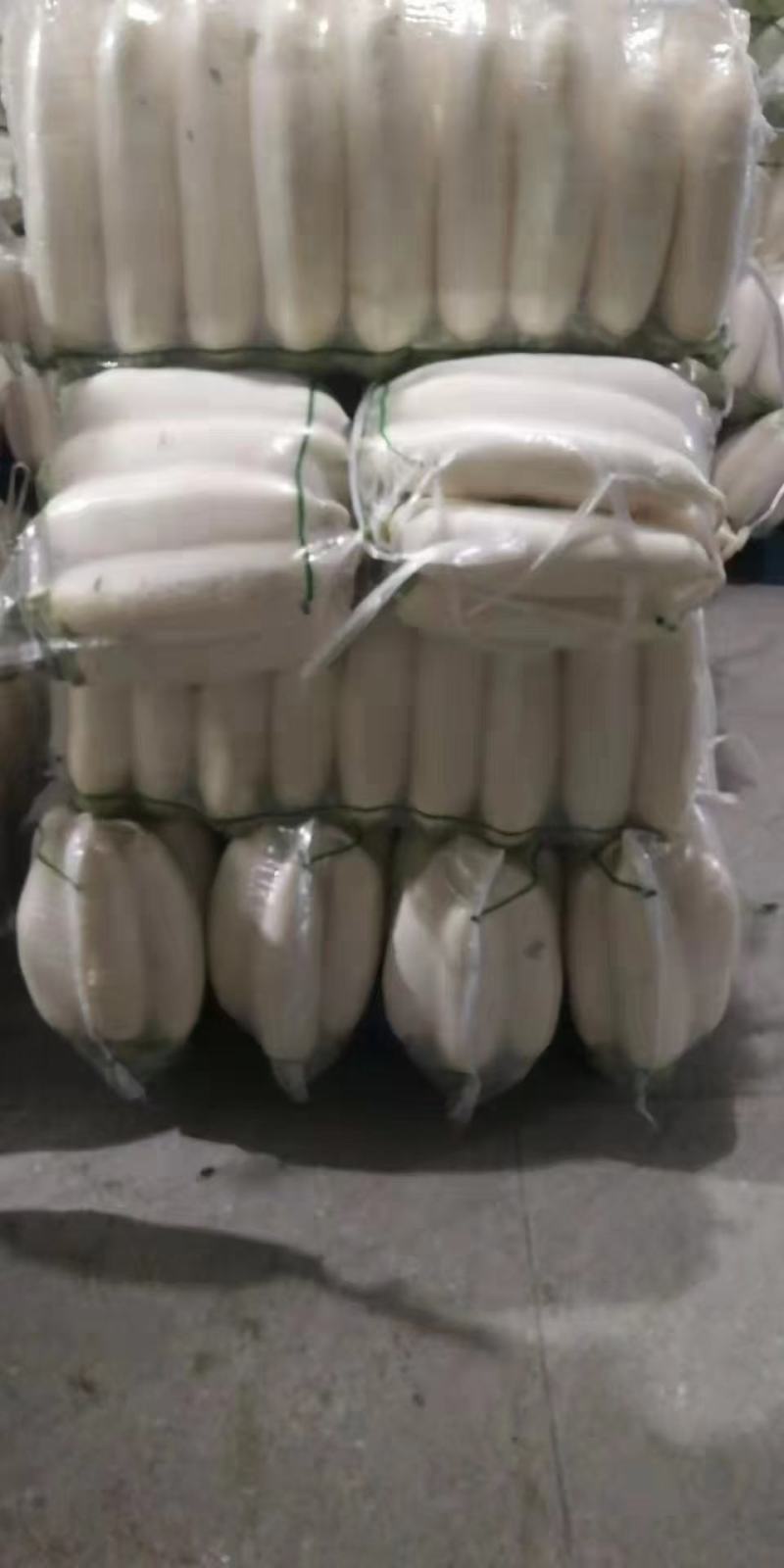 精品优质白萝卜，各种品质、规格、种类、常年有货