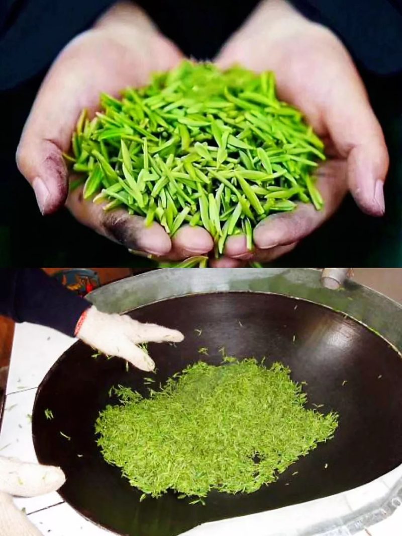 金庭西山洞庭山碧螺春开採，浓香型，.纯手工炒制，货源充足