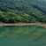 金庭西山洞庭山碧螺春开採，浓香型，.纯手工炒制，货源充足