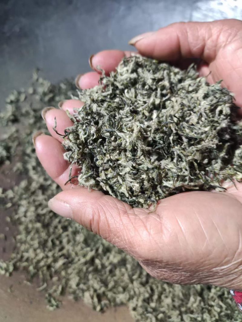 金庭西山洞庭山碧螺春开採，浓香型，.纯手工炒制，货源充足