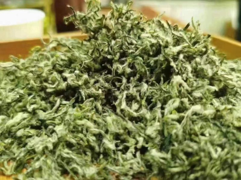 金庭西山洞庭山碧螺春开採，浓香型，.纯手工炒制，货源充足
