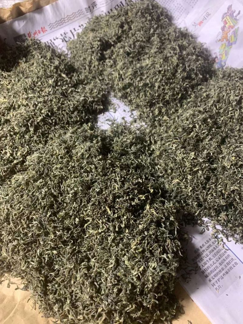 金庭西山洞庭山碧螺春开採，浓香型，.纯手工炒制，货源充足