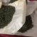 苏州东山碧螺春茶叶