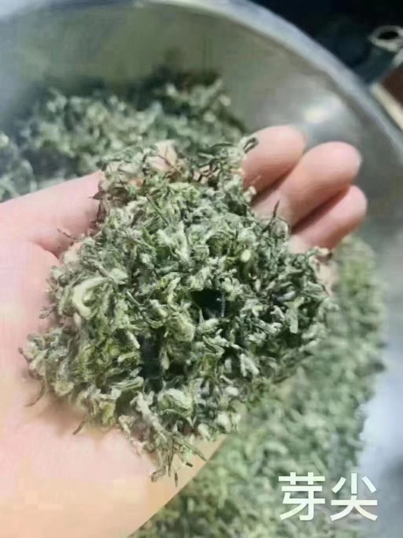 苏州东山碧螺春茶叶