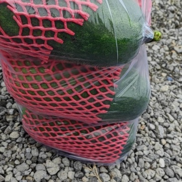 鲜花小黄瓜，丝瓜，苦瓜