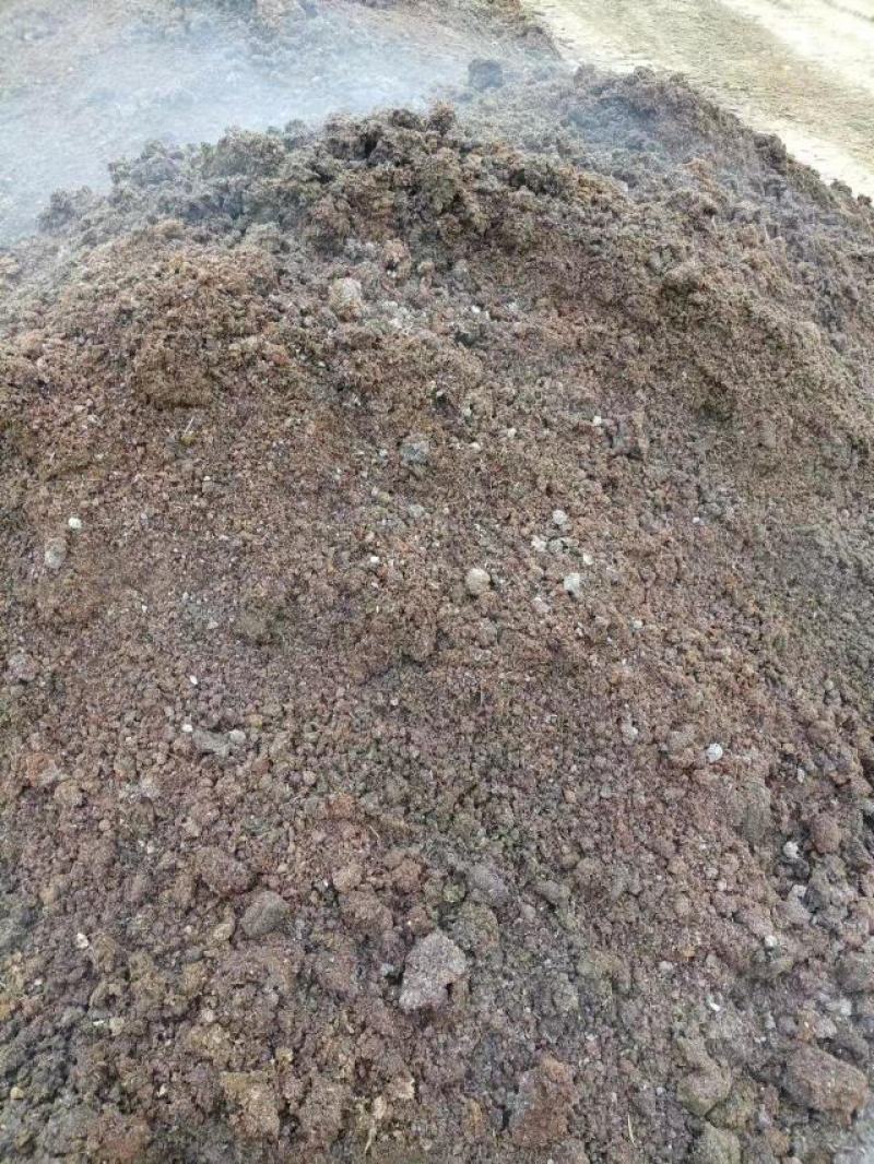 发酵牛粪有机肥