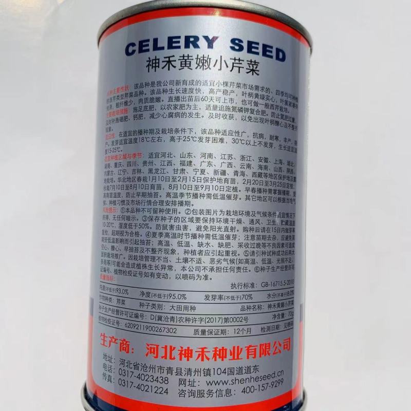 四季速生黄嫩小芹清香小芹菜种籽抽苔晚叶柄黄绿实心特高产