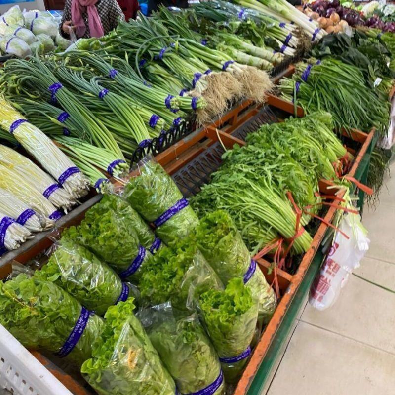 超市捆扎蔬菜胶带果蔬扎口胶带彩色生鲜捆菜环保绑菜胶带定做