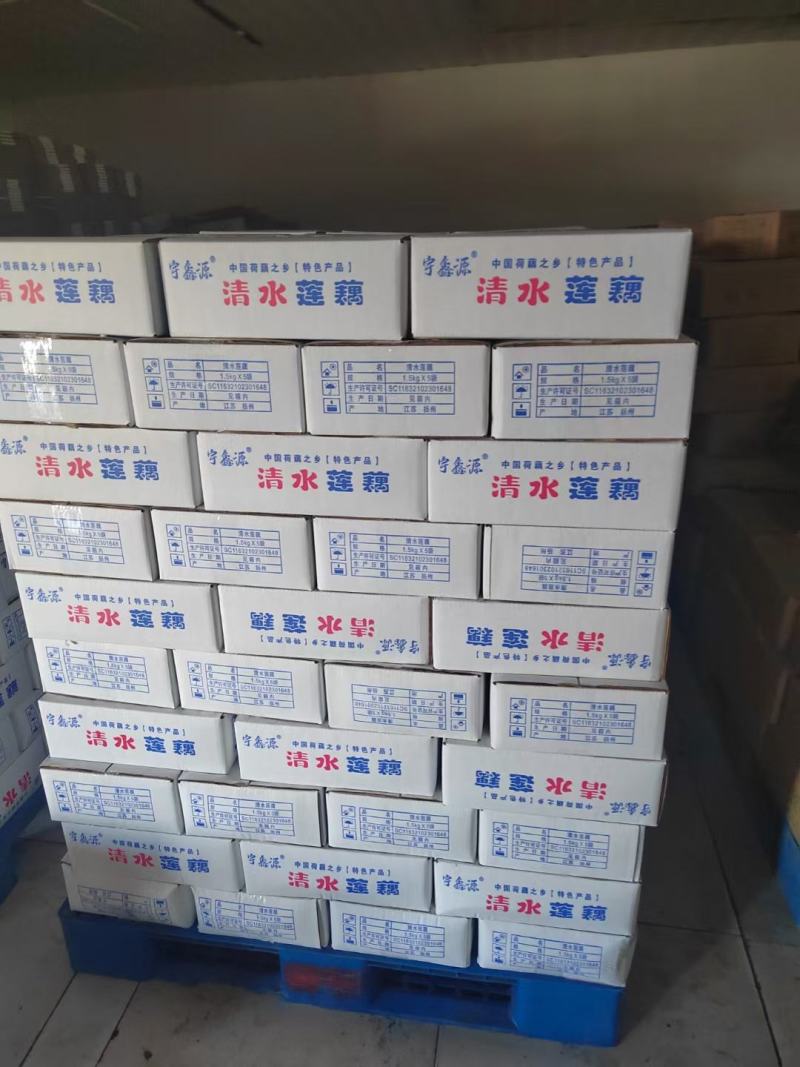 本人专业出售，清水藕片，还有专业清水藕段