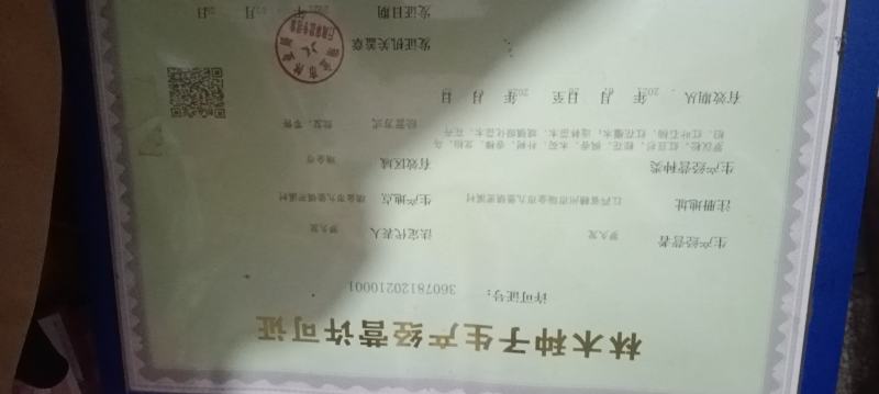 甜汁柚苗
