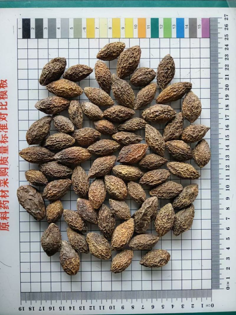 青果干货橄榄果中药材欢迎选购！量大从优！