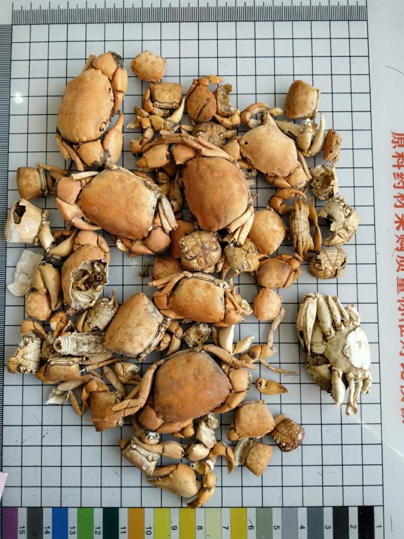 方海常年经营冷背中药材量大从优！