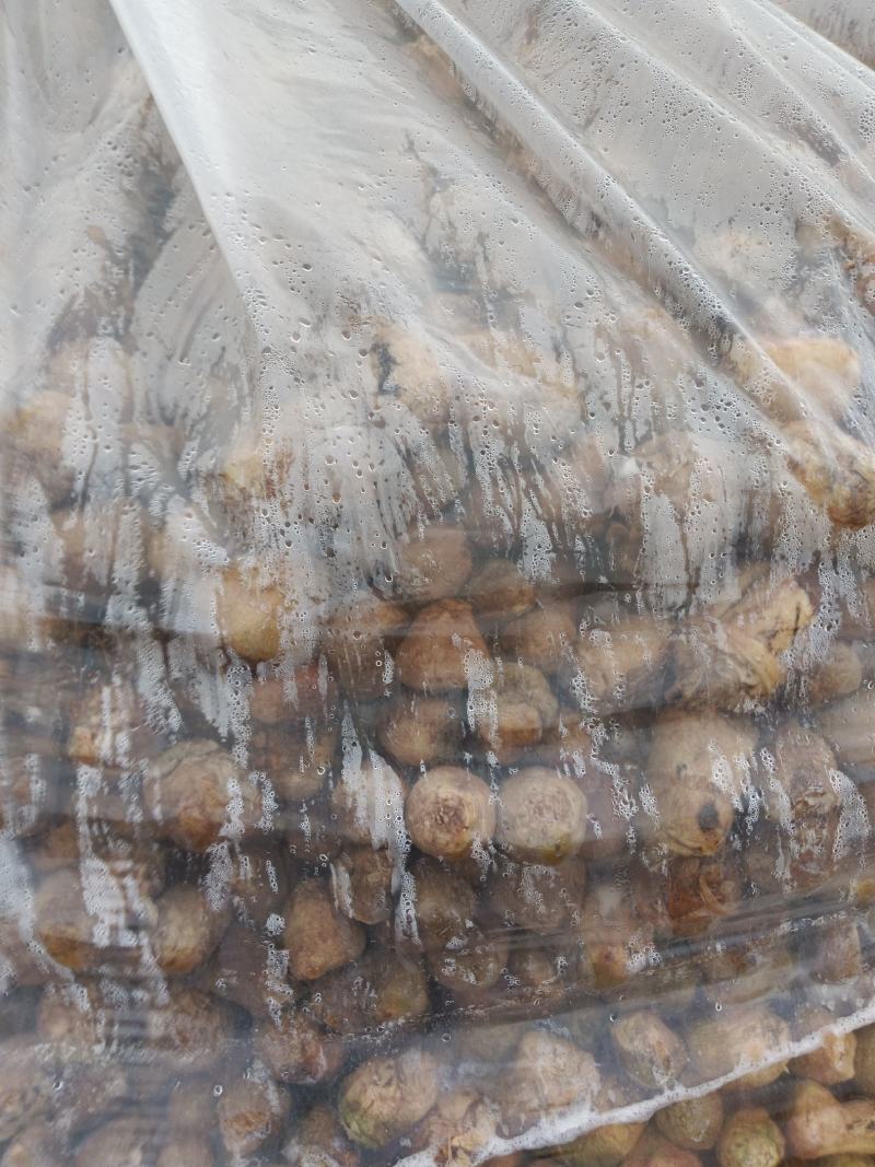 四川大头菜腌制品有需要的老板可以联系了