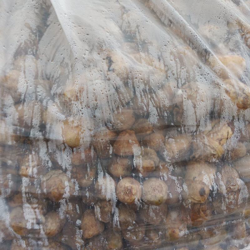 四川大头菜腌制品有需要的老板可以联系了
