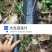 多孔微喷水带农田灌溉用水喷灌带园林绿化微喷带5孔7孔
