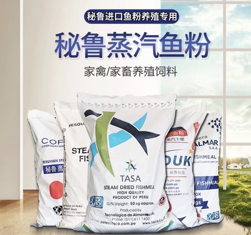 鱼粉