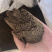 鱼粉