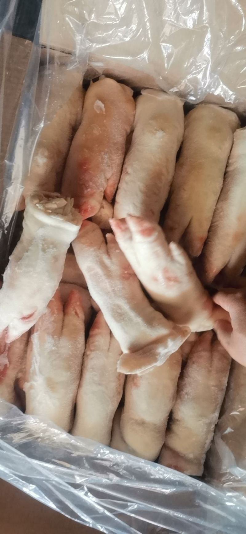 肥猪猪蹄，精品新货，品质非常保证，供应稳定