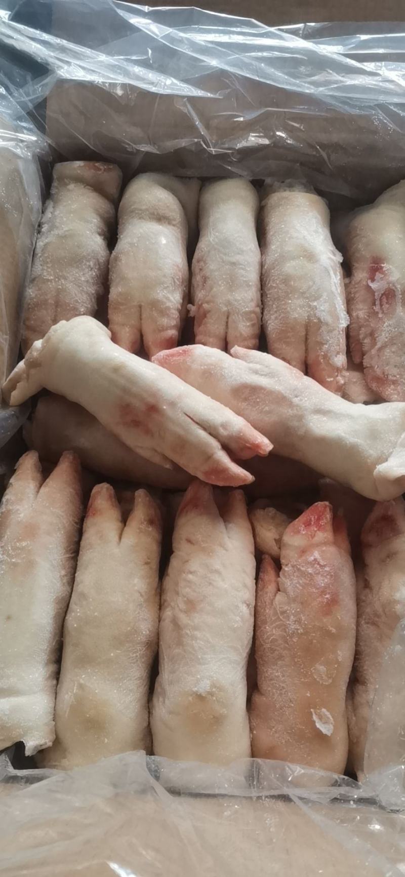 肥猪猪蹄，精品新货，品质非常保证，供应稳定