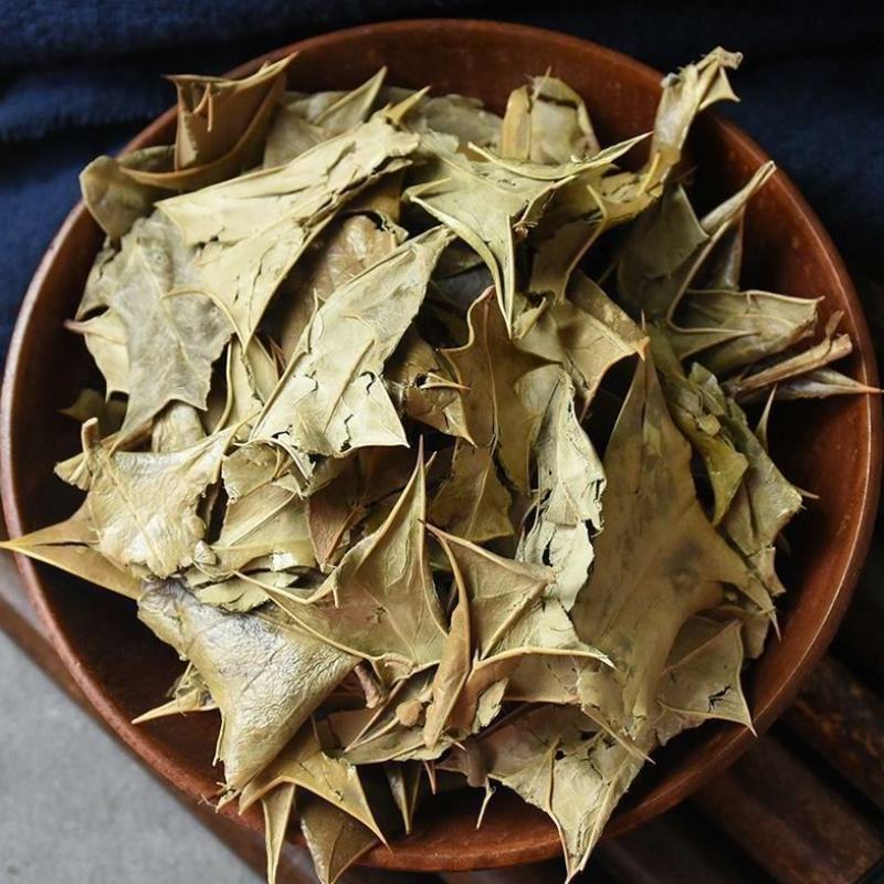 枸骨子干货功劳子功劳叶中药材欢迎选购！