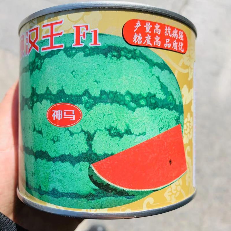 超甜懒汉王西瓜种子籽小瓜大糖度高，抗病强耐重茬西瓜种籽