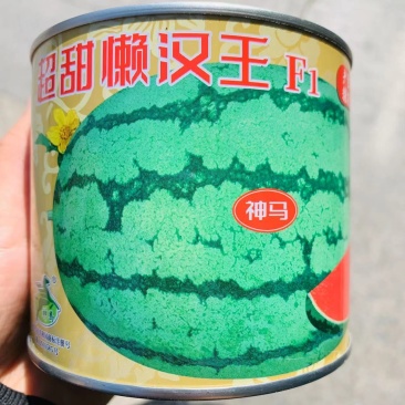 超甜懒汉王西瓜种子籽小瓜大糖度高，抗病强耐重茬西瓜种籽