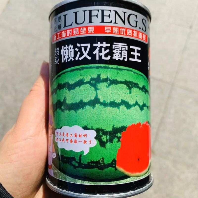 省工省时易坐果早熟优质抗重茬懒汉花霸王西瓜种子免修枝