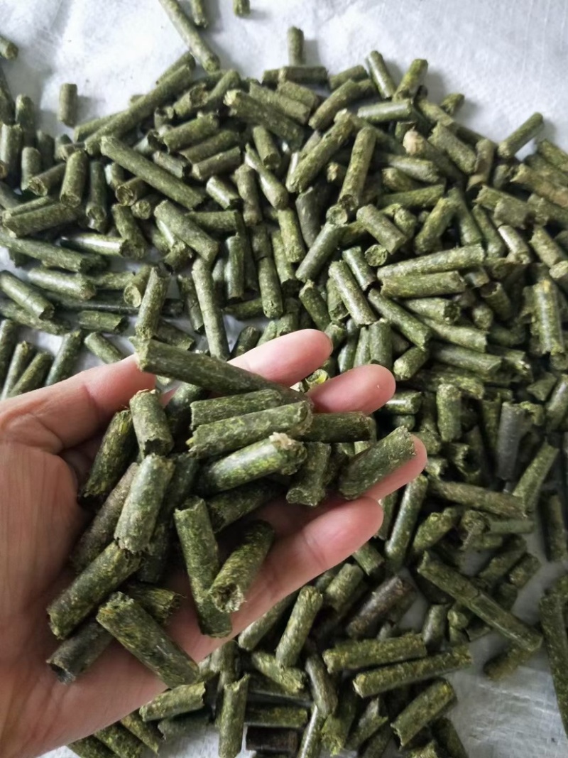 国产苜蓿草颗粒