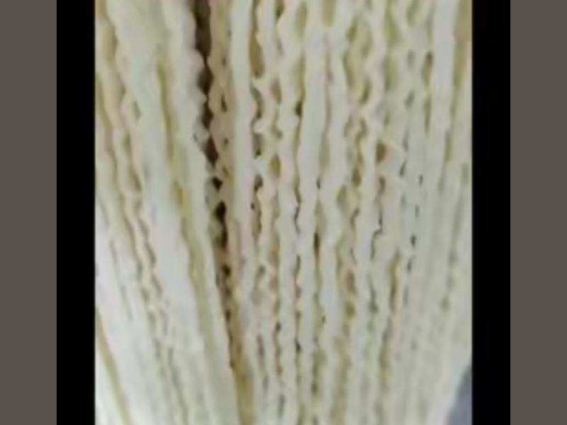 鲜面条