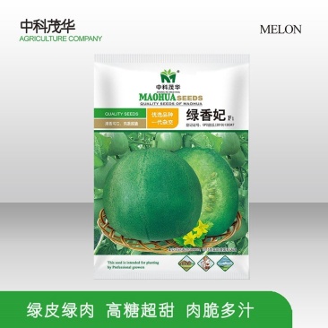 绿香妃绿宝甜瓜种子，高糖酥脆清香爽口，含糖18度