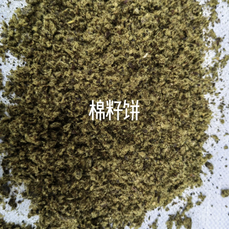 棉籽饼，源头工厂，质量保证诚信合作，全国发货欢迎合作