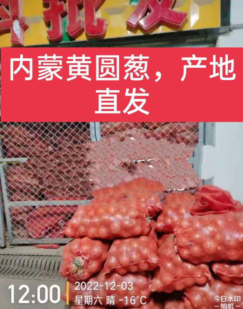【洋葱】内蒙红皮洋葱/黄皮洋葱，量大从优，欢迎合作！！