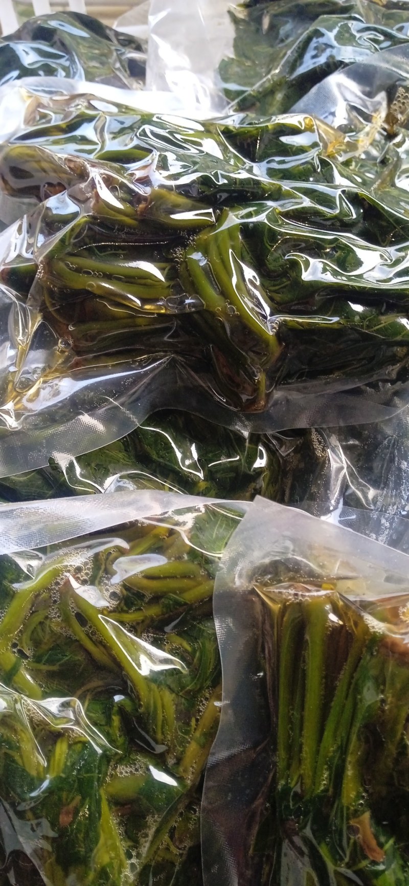 【源头厂家】山东潍坊临朐露天香椿咸菜手工腌制