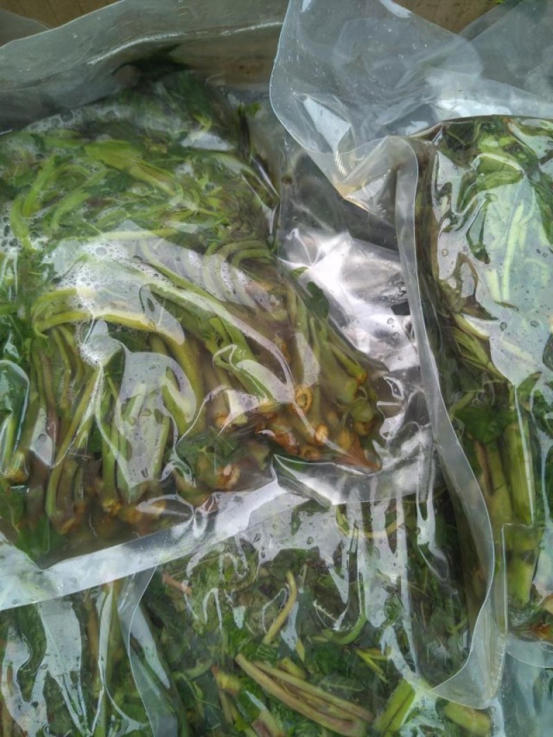 【源头厂家】山东潍坊临朐露天香椿咸菜手工腌制
