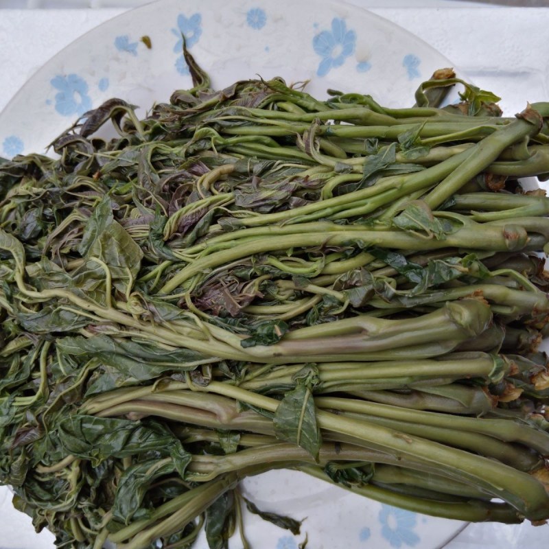 【源头厂家】山东潍坊临朐露天香椿咸菜手工腌制