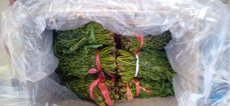 【源头厂家】沂蒙山露天红香椿芽手工腌制红香椿咸菜