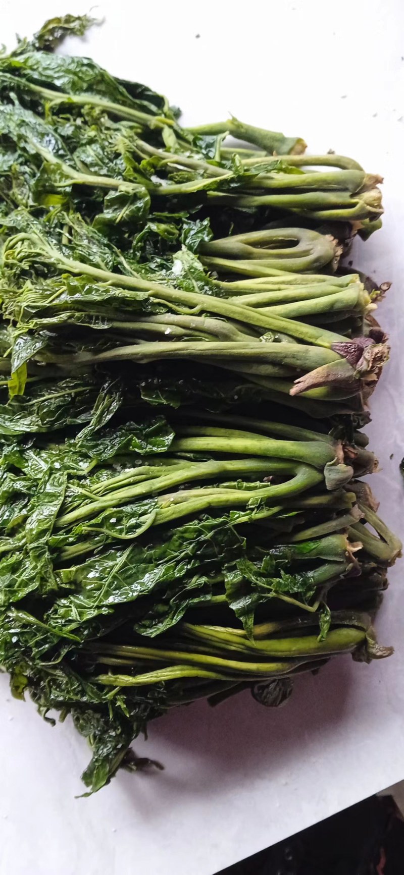 【源头厂家】沂蒙山露天红香椿芽手工腌制红香椿咸菜