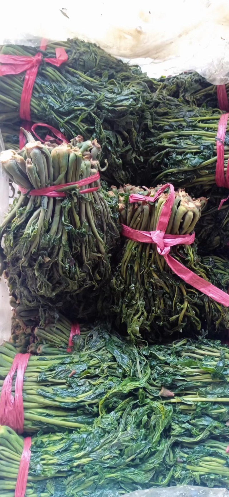 【源头厂家】沂蒙山露天红香椿芽手工腌制红香椿咸菜