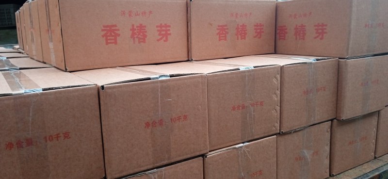 【源头厂家】沂蒙山露天红香椿芽手工腌制红香椿咸菜