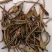 【推荐】芦荟茶芦荟干叶，一手货源产地直发品质保障欢迎