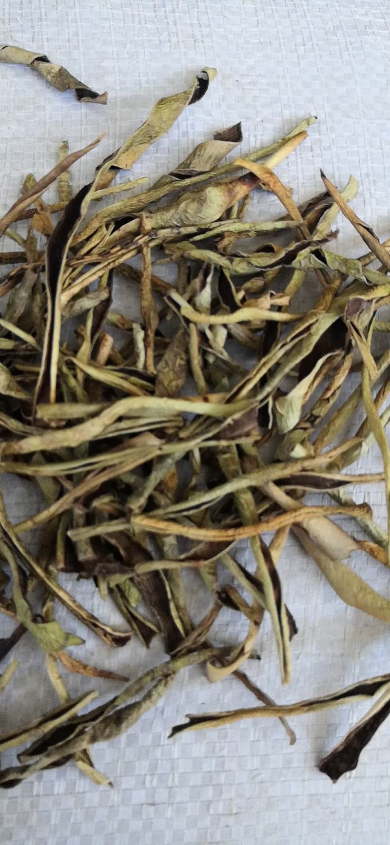 【推荐】芦荟茶芦荟干叶，一手货源产地直发品质保障欢迎