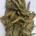 【推荐】芦荟茶芦荟干叶，一手货源产地直发品质保障欢迎