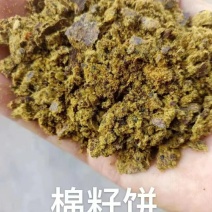 厂家直销棉籽饼，棉籽饼含有机质高，棉粕蛋白高，保证质量