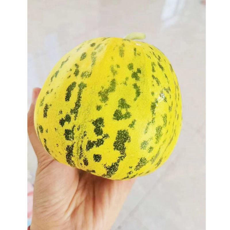 蜜研金脆花宝3薄皮高糖豹纹花皮甜瓜种子原装发货