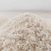 【厂家】现碾散装丝苗米，优质大米，厂家直发，量大从优，欢