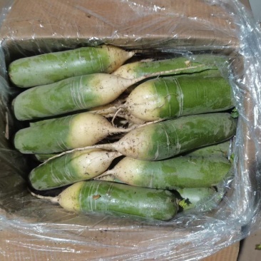 肥城库存水果萝卜便宜大甩卖了